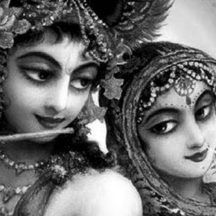 Kruti Dave Photo 16