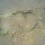 Dawn Hunt Photo 10