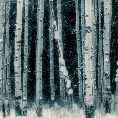 Anthony Porto Photo 19