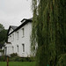Dorothy Hill Photo 10