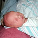 Mac Brown Photo 5