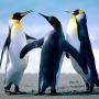 Mohamed Abubakar Photo 21