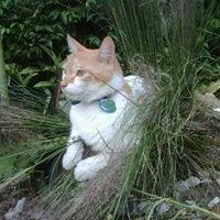 Dawn Daugherty Photo 10