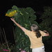 Nanci Long Photo 4
