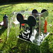 Rafael Stevenson Photo 11