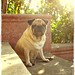Kun Chang Photo 7