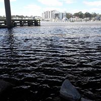 James Nolin Photo 20