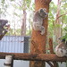 Casey Miles Photo 10
