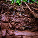 Peter Hu Photo 15