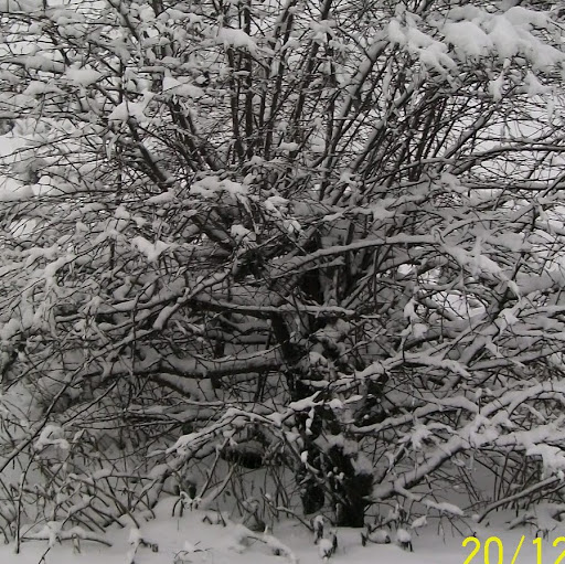 Rosemary Evans Photo 32