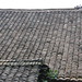 Rodger Roof Photo 6