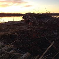 Mark Conrad Photo 29