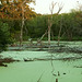 Bob Minter Photo 7