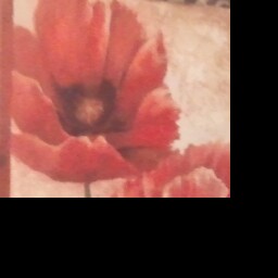Julie Hutchins Photo 29