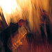 Alexander Reed Photo 11