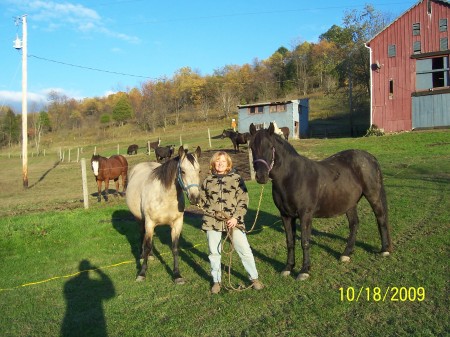 Terri Wolff Photo 14