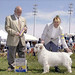 Debbie Mullen Photo 12