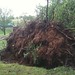 Stephen Minns Photo 10