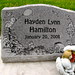Hayden Hamilton Photo 7
