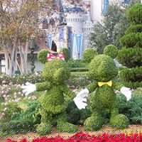 Carla Yoder Photo 15
