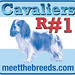 Charles Breeding Photo 8