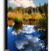 Cynthia Lake Photo 4