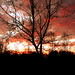 David Quello Photo 7