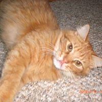 Linda Brazell Photo 17