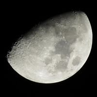 Steven Triggs Photo 2