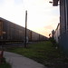 Dawn Busch Photo 6