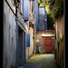 Salida Sin Photo 8
