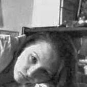 Rachel Rutherford Photo 14