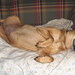 Erma Gray Photo 9