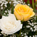 Vishal Patel Photo 20