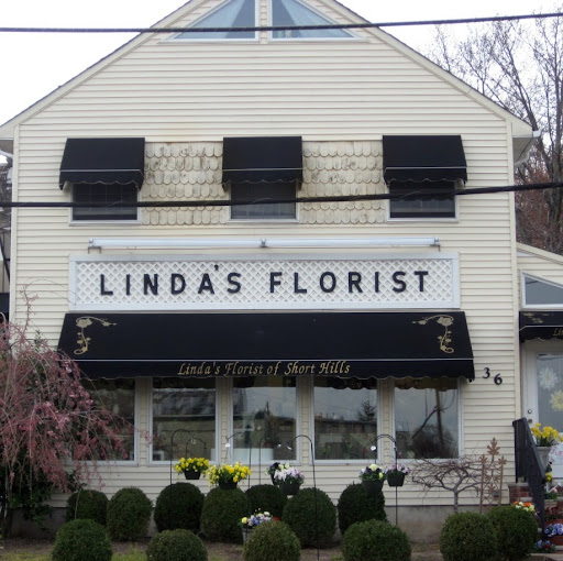 Linda Ward Photo 12