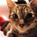 Kitty Bruce Photo 7