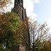 Jan Lange Photo 7