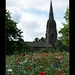 Matthew Flowers Photo 9