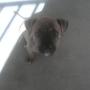 Betty Gregory Photo 9