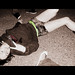 Nicole Pittman Photo 9