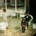 Bruce Lamb Photo 12