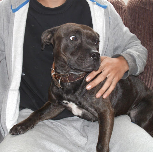 Simon Greaves Photo 17