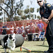 David Jester Photo 10