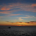 Glenn Edwards Photo 18