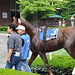 Nick Velazquez Photo 12