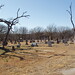 Ann Tidwell Photo 10