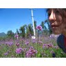 Nan Lu Photo 25