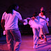 Allen Goodstein Photo 6