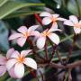 Linda Engle Photo 14
