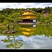 Ho Sui Photo 3